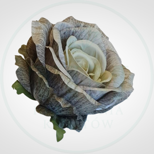 016635bfc0423070da6c4ae409afe194.png
