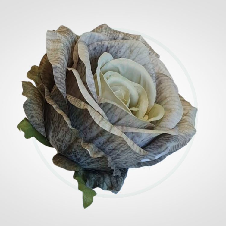 016635bfc0423070da6c4ae409afe194.png