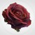 736340eb950002d2df65871971cabfa2.jpg