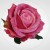 a4122099d2a1d49fea79d89bf2cde791.jpg