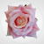 f317fd9fc6c7acd142b1babd4db94d3f.png