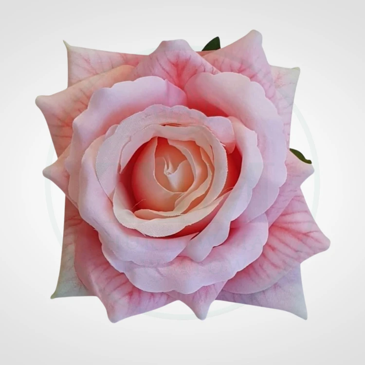 f317fd9fc6c7acd142b1babd4db94d3f.png