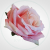 11fdc58ea9550e02b484662adc86f2d0.png