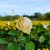 08aea6a6c53e7869812cd0e338d47ed1.jpg