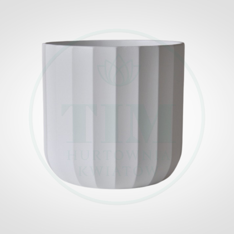 15ed5a10a440de3ff3a5cb2128e3fc20.png