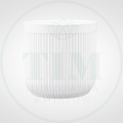 53dcdb30205a09d1528946c9674d05dc.png