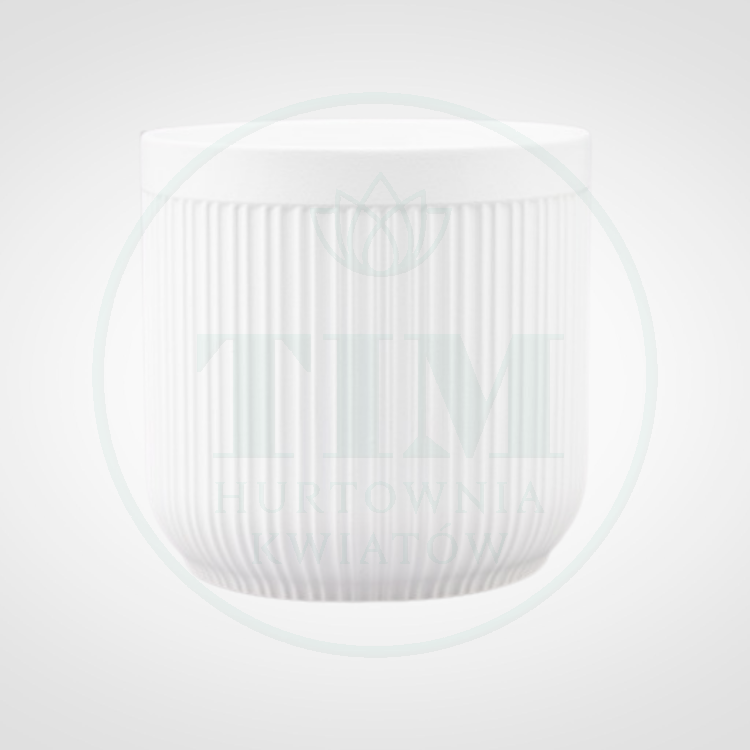 53dcdb30205a09d1528946c9674d05dc.png