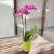 2b4ad656de74aed333053f79db539123.jpg
