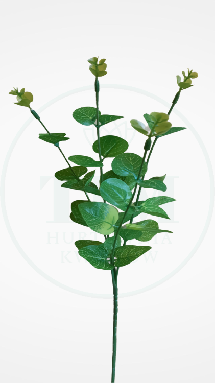 7abfb96b8efd51d71ecac07a558790c7.png
