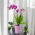 7eaedf3cad8f83a80409fc50d9787d7c.jpg