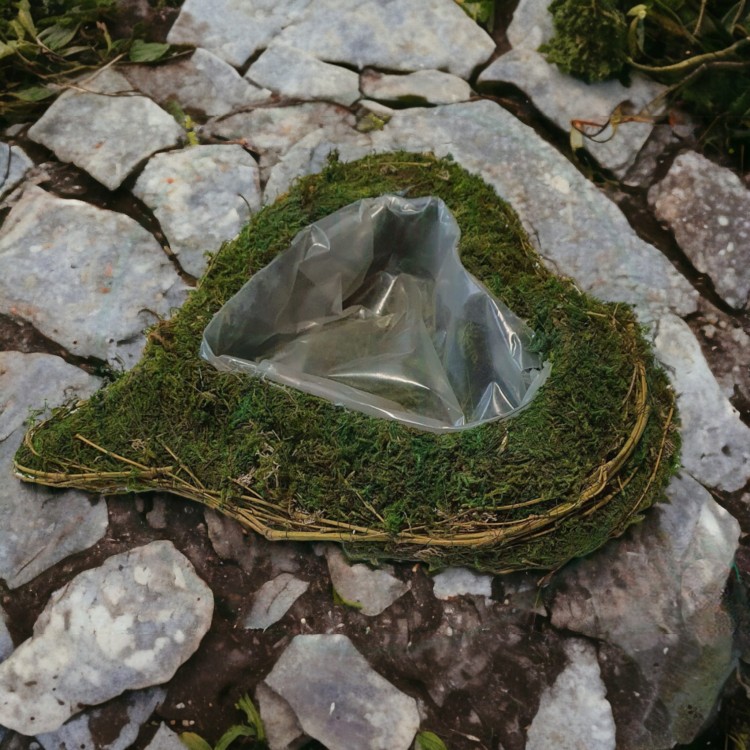 38ad8c95c3c246b9e47aa049a9a2e4e4.jpg