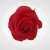 664fe59eb870a0ed1994ed8b093f25ea.jpg