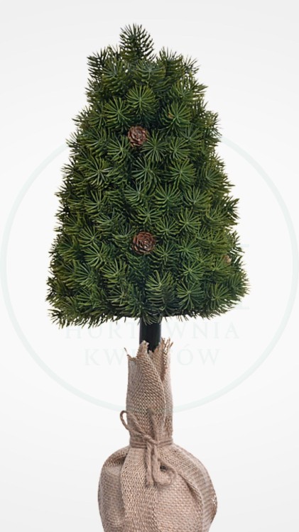 b3261f433ac3147cc458281588430c36.jpg