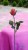 7c190bc3600dadcb4d5dc44aeea9b191.jpg
