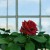 43db58fa9fe2aea7cb4576ffba3cc56f.jpg