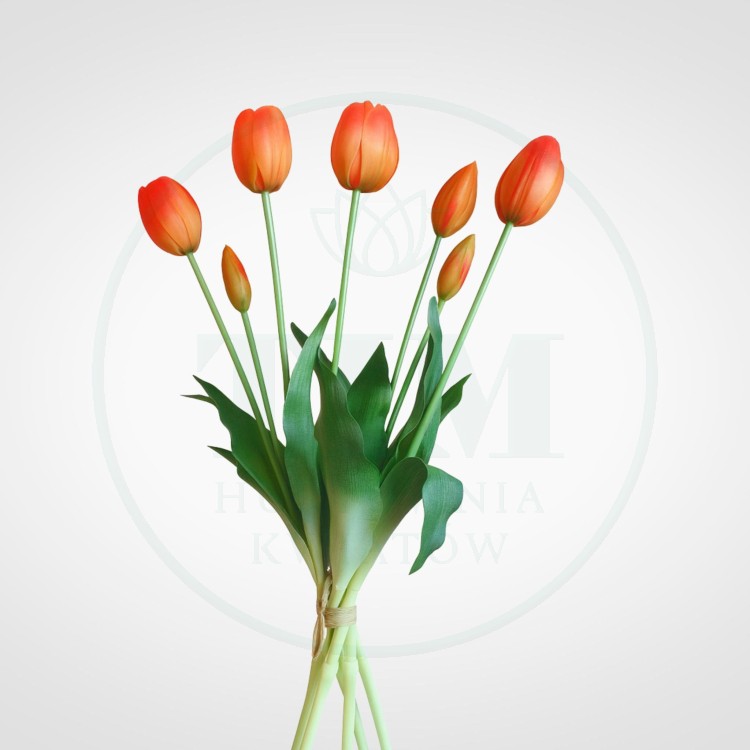9762e6eacab7ace606bb490f82bdbc3d.jpg