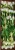c2d331714e68a09ac4a9be5dba83abb2.jpg