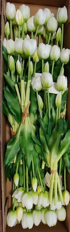 c2d331714e68a09ac4a9be5dba83abb2.jpg