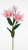 2a39d4bb93743559975b1f29576d3240.png
