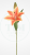 d6bfa217c4c383eb7940de5ededbada8.png