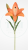 76d730a04110a3b5ffde2f7aedd50471.png