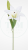 69a875aaf2a771b33ac83980cedd09d3.png