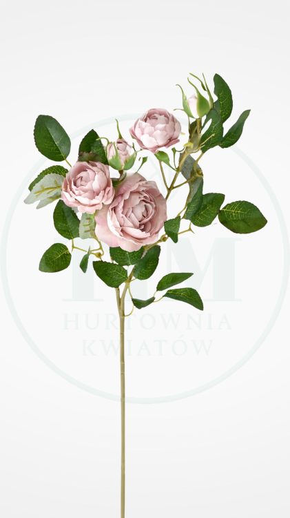 c7b0ca04c00fe7505fea3f215a51a245.png