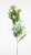 1b8387d91995795053b34d86b353d322.png