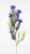 5924e44bc89d3a20df83797e9700f5c3.png