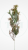 1f98093619d7cc2339b6d725dee4eafb.png
