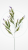 3c4f55641a5deccc64b7f85a31a50601.png