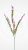 aac3f9b5fc0701a4b4456fc50eac2d74.png