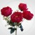 491a8ac1df49cea4cf084961dc14be19.jpg