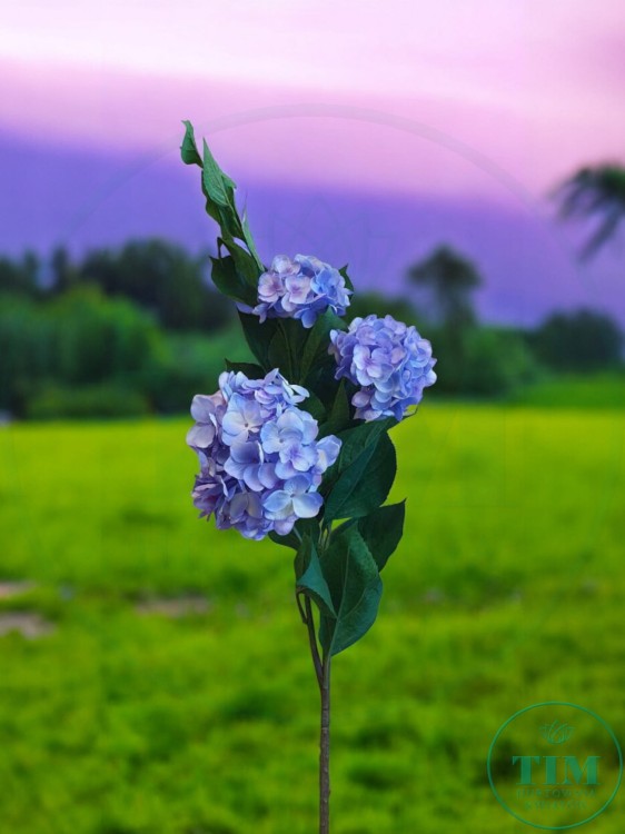 1885f4cc81f6232a9fb24c212da0c1db.jpg
