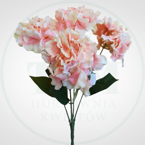 db490593ccdf19f8a08a9a13c6c0fa4f.jpg