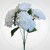 c72f011cfc0eb27132b119150c67bc24.jpg