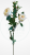 fe7acb99329bef654c86762d39f8d6a4.png