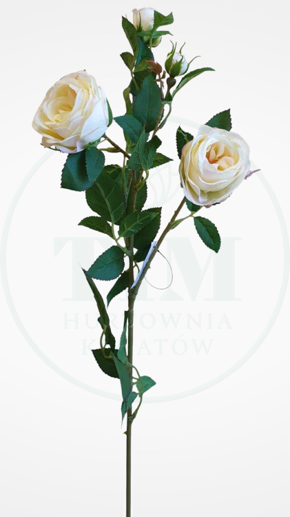 fe7acb99329bef654c86762d39f8d6a4.png