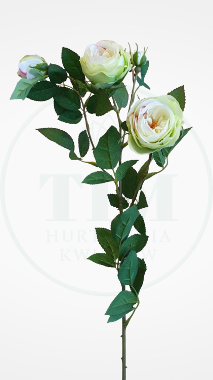 95aad3d45977994ccae3546dce0d06e8.png