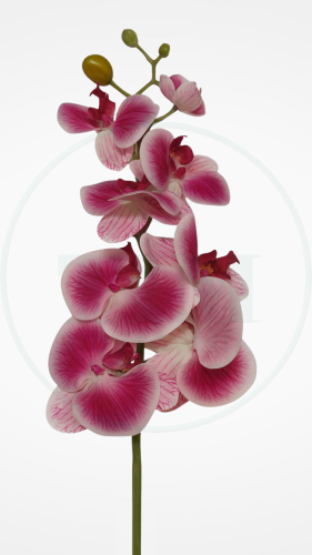 a03cf1cc88fc5666aecd85e73784b7d6.png