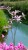 200b0bfb4bb0dabd7f0205efebbdba3b.jpg