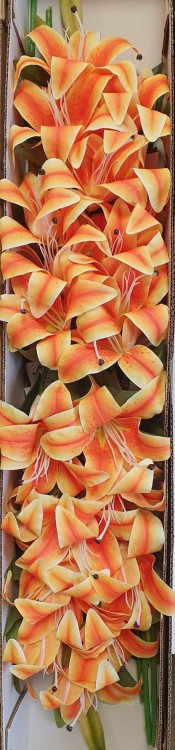 14c0edc092e16ba1efb9c7bb9d1395a4.jpg