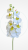 171a70303c2ae2d97e6d6552ef2ea003.png