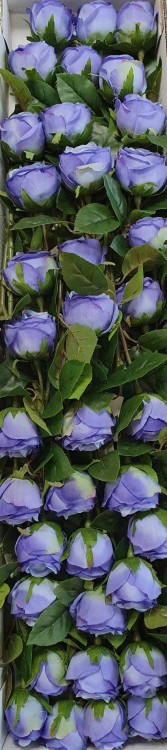 c98e438ede2337104ca0e90da6f480e0.jpg