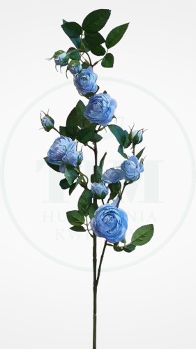 85173b8450a0e86bd2aefa43f0badd0d.jpg