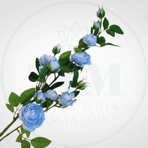 1c1783f5d99edba9329eb059d9272ba5.jpg