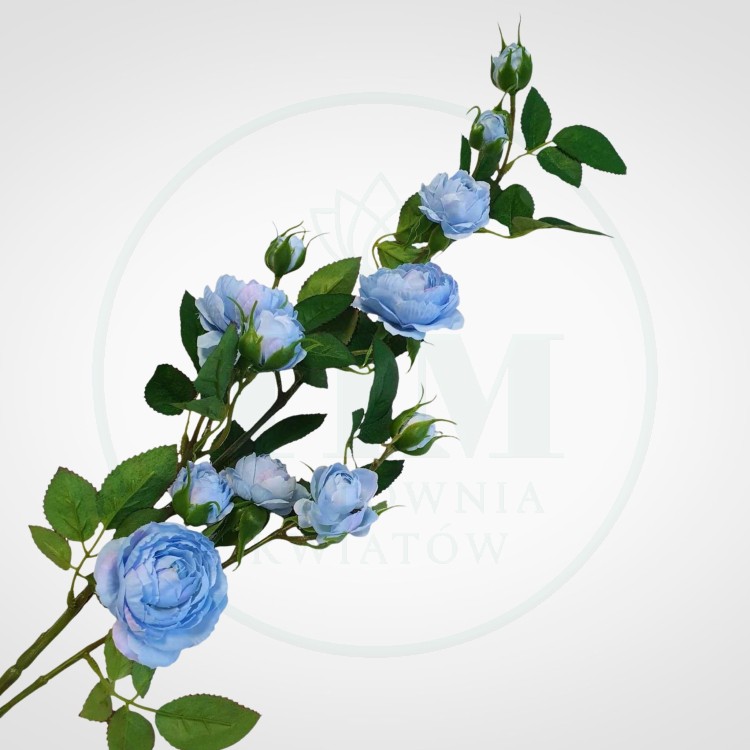 1c1783f5d99edba9329eb059d9272ba5.jpg
