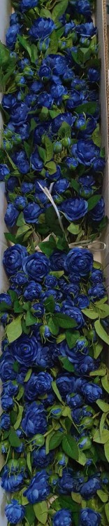 fee7ad6c167672ddf68c0821de9a0a1f.jpg