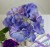 2ab5bb2bd499c157f401cb2a0e1006a3.jpg