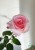 ec701bceac4a890c2620f93fdfcf0bd4.jpg